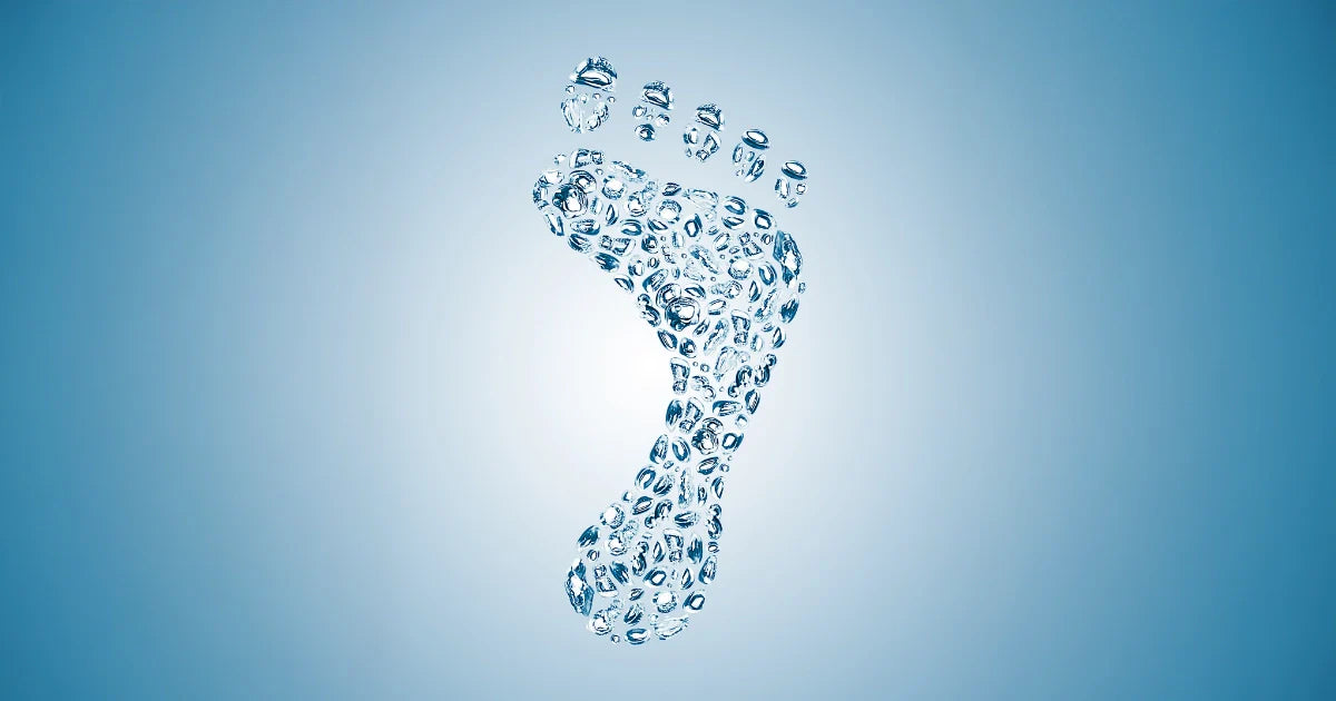 Karbon Ayak İzi Nedir? Neden Önemli?